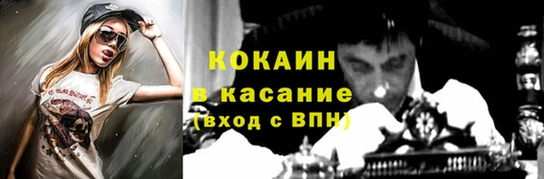 индика Заволжье