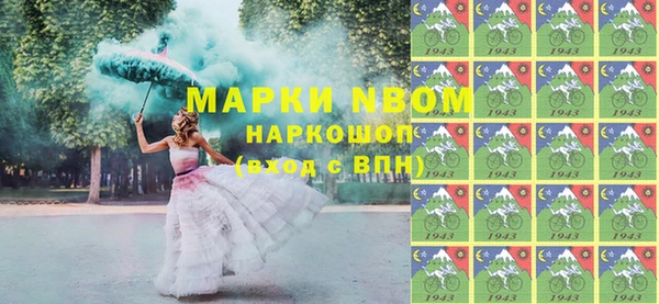 индика Заволжье
