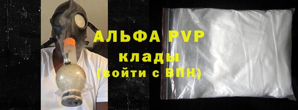 индика Заволжье