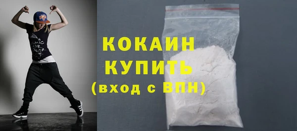 индика Заволжье
