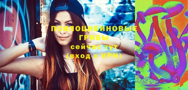 индика Заволжье
