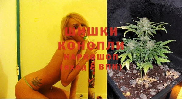 спиды Зеленокумск