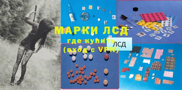 спиды Зеленокумск