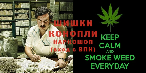 спиды Зеленокумск