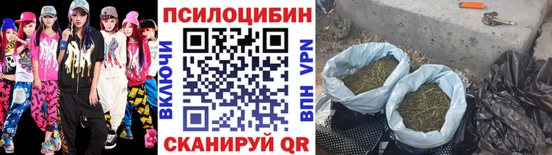 Купить где  Лобня  Галлюциногенные грибы Cubensis 